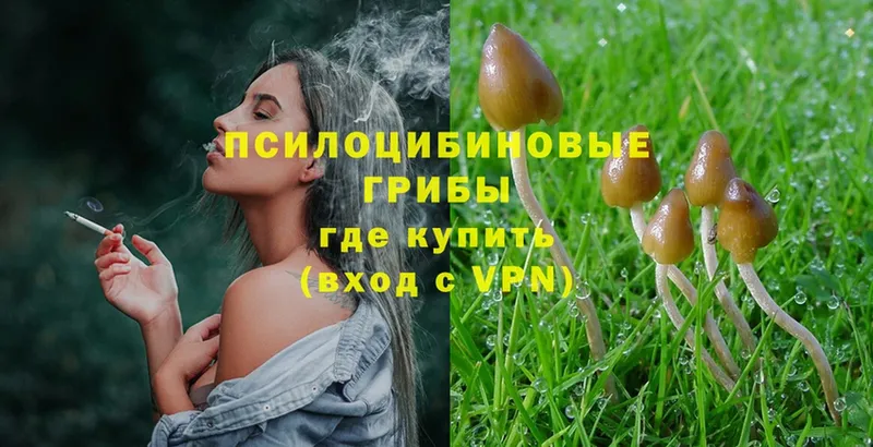 купить  цена  Харовск  Галлюциногенные грибы Magic Shrooms 